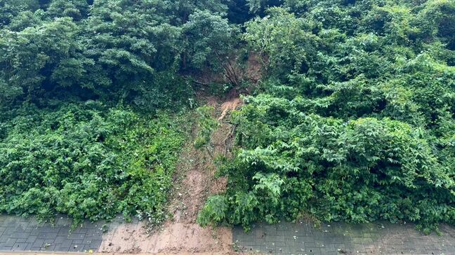 床上浸水1棟　県道土砂崩れ2か所　甑島で記録的短時間大雨情報135ミリ　鹿児島県|TBS NEWS DIG