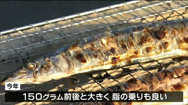 「おいしいしか思いつかない」大きくて脂の乗りも良い　サンマ2400匹を無料で振る舞い　宮城・名取市|TBS NEWS DIG