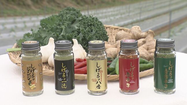 料理に魔法をかける極上スパイス　リサイクルから生まれた商品開発の裏側|TBS NEWS DIG