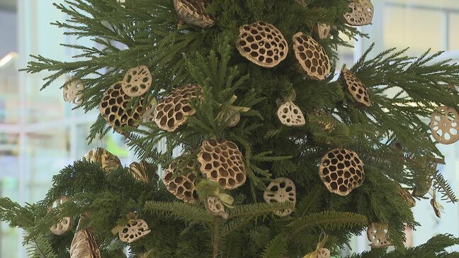 ツリーにレンコン?ご当地らしさを表現…レンコンのクリスマスツリー登場! 山口・岩国錦帯橋空港|TBS NEWS DIG