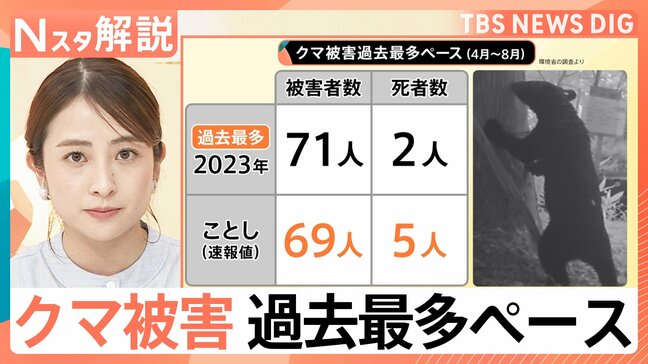 クマ出没数は減らず…フェスも中止に 人的被害“過去最多ペース” クマ撃退マシンの実力は?【Nスタ解説】|TBS NEWS DIG