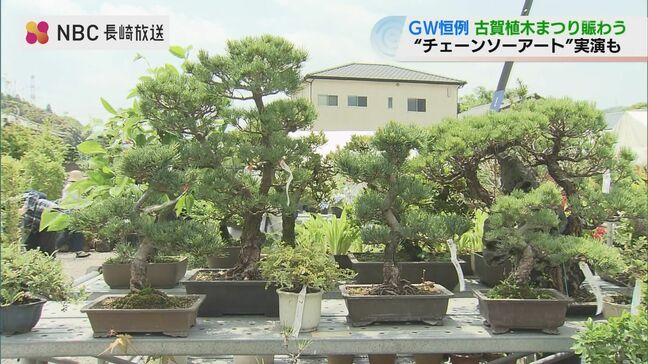 ゴールデンウィーク恒例！400年の伝統を楽しむ「古賀植木まつり」開幕 チェーンソーアートの実演も|TBS NEWS DIG