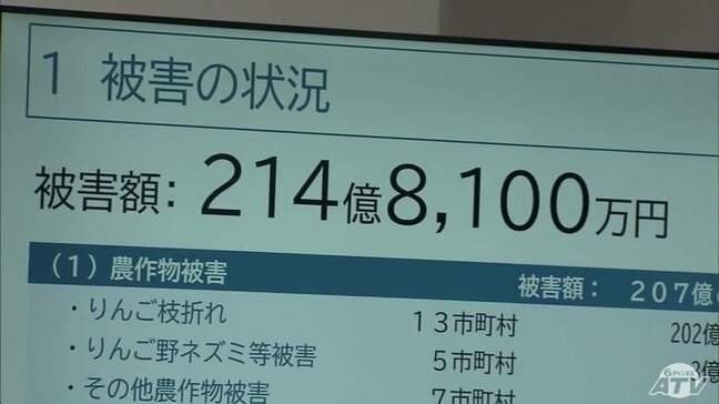 「額面としては史上最大の被害」冬の“豪雪”による農業被害額は214億8100万円で過去最大に 「リンゴ枝折れ」202億円余・「パイプハウスの倒壊」約4億円など 青森県|TBS NEWS DIG