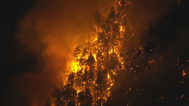 元日に運用開始　林野火災注意報・警報とは　警報は「たき火」や「喫煙」などが制限され、罰則も|TBS NEWS DIG