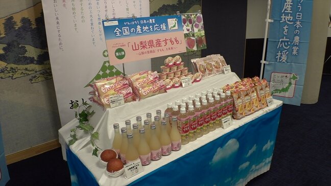 飲料やプリン、菓子パンなど 県産すももを使用した6商品を共同開発 産地応援プロジェクトの一環 山梨|TBS NEWS DIG
