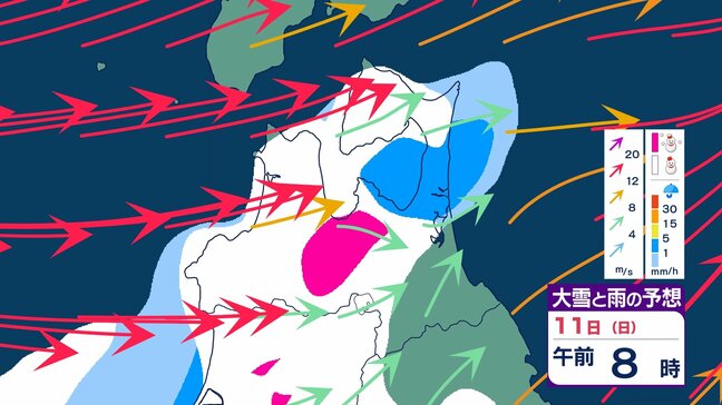 【大雪情報】大雪・倒木の影響で奥羽本線の一部区間は9日も終日運転取り止め　設備被害も…　再開の見通し立たず…　青森市街地でも断続的に雪　今後の雪は？　「大雪・雨・風のシミュレーション」で見る最新予想|TBS NEWS DIG