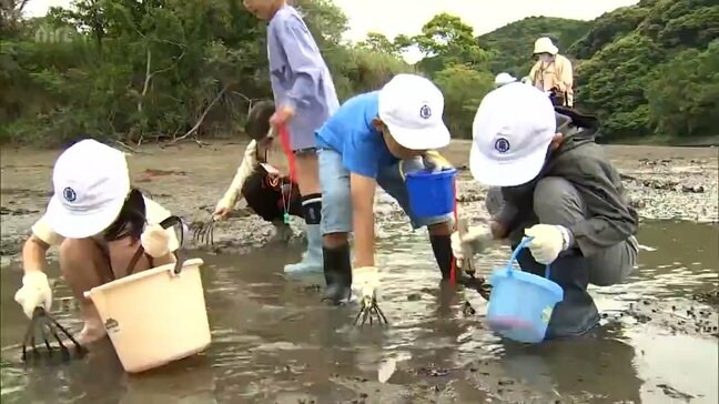 地元の豊かな海の自然に愛着を　延岡市の小学生が潮干狩り|TBS NEWS DIG
