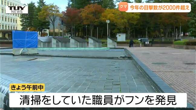クマの痕跡相次いで確認　山形県庁の目の前でクマのフン、南陽市の住宅の庭では柿が食い荒らされる　今年のクマ目撃は件数は2000件超える（山形）|TBS NEWS DIG