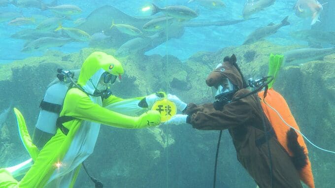 「着ぐるみで干支を表現しているところがおもしろかった」　水槽の中で来年の干支“午ダイバー”にメダル引き継ぐ　山口・下関|TBS NEWS DIG