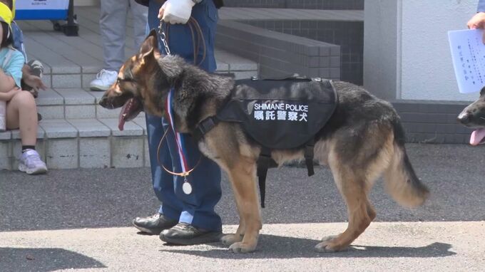 行方不明になり、茂みに倒れていた高齢者を嘱託警察犬「クヴェル」(シェパード)が無事発見　「よくやった！」|TBS NEWS DIG
