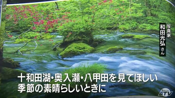 「自然としては格段にすばらしい」約40年取り続けた十和田湖、奥入瀬渓流、蔦沼周辺の四季折々の写真98枚を一冊に　和田光弘写真集「The Lake TOWADA」　十和田八幡平国立公園の制定90周年記念に出版|TBS NEWS DIG