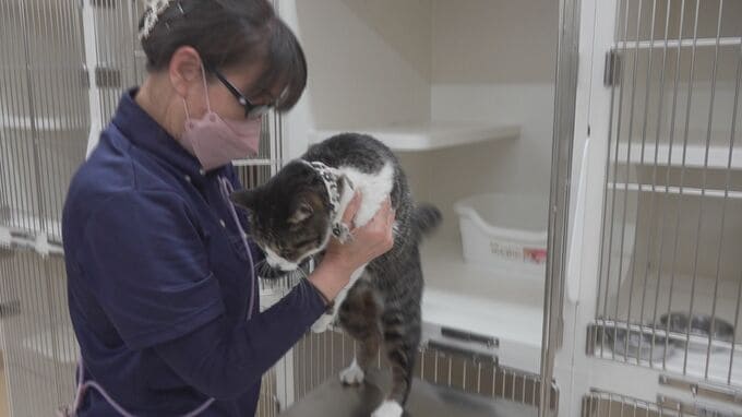 保護された犬猫 新たな飼い主にマッチング「いしかわ動物愛護センター」開所式　|　石川県のニュース｜MRO北陸放送