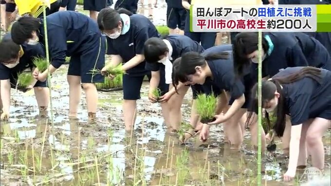 「みんながよろこんでくれたら」青森県田舎館村の田んぼアート会場で高校生が田植えに挑戦！　題材は今年アニメ化の『じいさんばあさん若返る』|TBS NEWS DIG