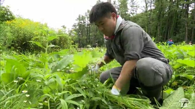 地域に「恩返ししていく」青森トヨペットの若手社員など約50人が地域貢献活動として三沢市の海岸防災林を整備　|　青森のニュース│ATV NEWS│青森テレビ