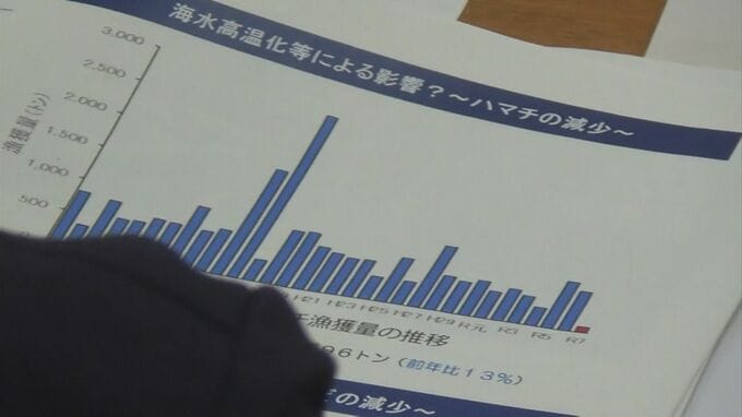深刻な鳥取沿岸の漁獲量