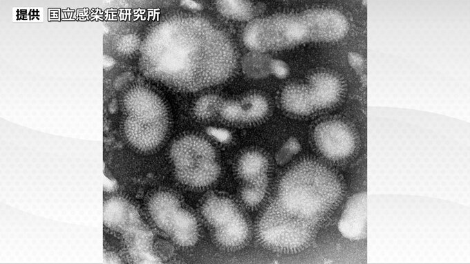 インフルエンザ患者316人・6週連続減少　警報解除も「B型に注意」　宮城　|　宮城のニュース│tbc NEWS│tbc東北放送
