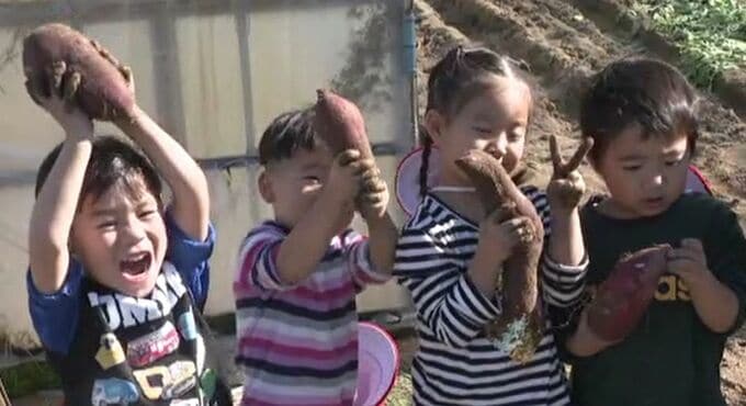 園児らが五郎島金時の収穫体験 地元の旬の野菜を身近に 金沢市|TBS NEWS DIG