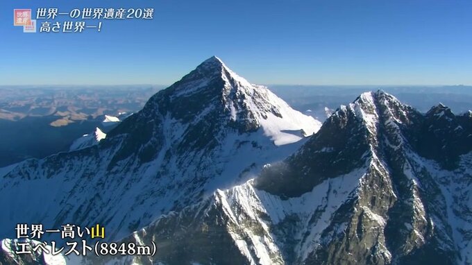 高さ世界一の木！大きさ世界一の巨大トカゲ！「世界一の世界遺産」いろいろ【世界一の世界遺産20選】|TBS NEWS DIG
