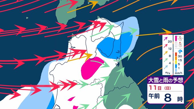 【大雪情報】大雪・倒木の影響で奥羽本線の一部区間は9日も終日運転取り止め　設備被害も…　再開の見通し立たず…　青森市街地でも断続的に雪　今後の雪は？　「大雪・雨・風のシミュレーション」で見る最新予想|TBS NEWS DIG