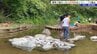 子どもたちが水辺の生き物たちの隠れ家作り　東日本大震災の津波で失われた自然環境を人の手で復元　自然に近い形でビオトープ　岩手・釜石市　|　IBC NEWS | IBC岩手放送