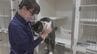 保護された犬猫 新たな飼い主にマッチング「いしかわ動物愛護センター」開所式　|　石川県のニュース｜MRO北陸放送