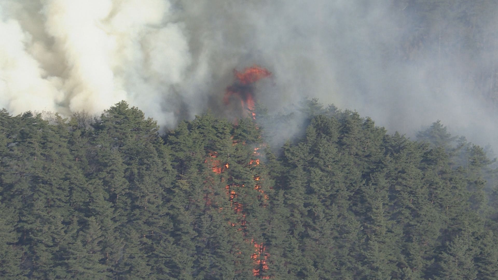 田んぼのあぜの枯草を焼いていた火が原因か【上田の山林火災】当事者の