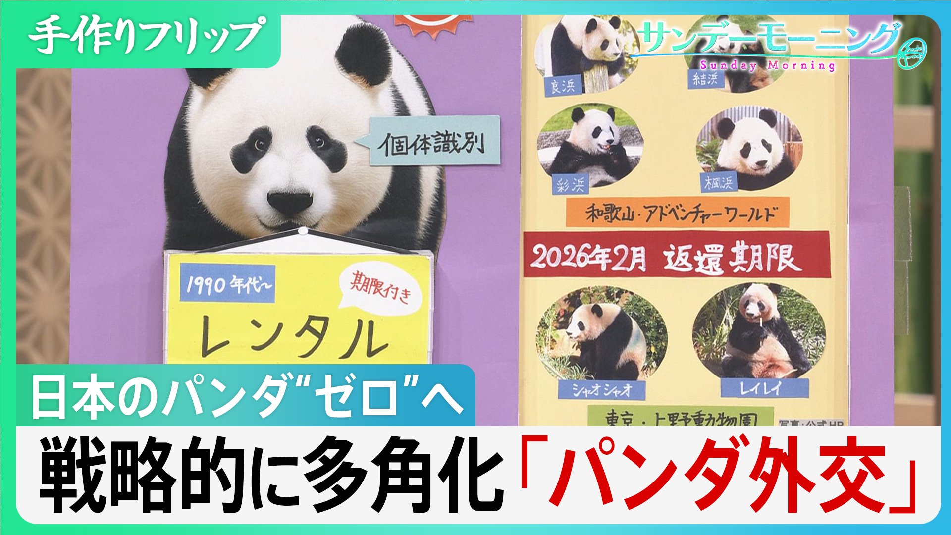 日本のパンダ“ゼロ”へ… 戦略的に多角化するパンダ外交【サンデー