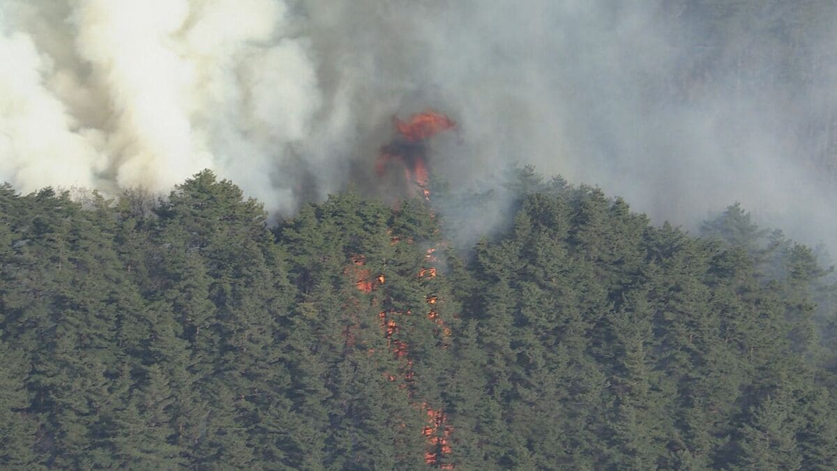 img_4f7e77d6ed3e937e806c051cde