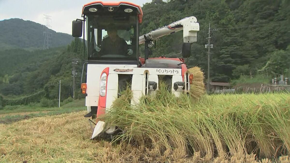 JAしまね 今年産米「概算金」過去最高額に…農家は「ようやくコメ