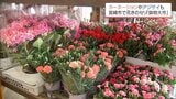 「母の日」を前に　カーネーションなどがセリに「鉢物大市」　宮崎市花き地方卸売市場|TBS NEWS DIG