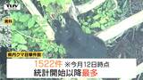 県内でクマ目撃相次ぐ　きのうはキノコ採りの男性が襲われケガ（山形）|TBS NEWS DIG