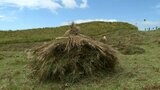 冬の風物詩『草こづみ』作り 84歳が守る阿蘇の原風景 | 熊本のニュース|RKK NEWS|RKK熊本放送