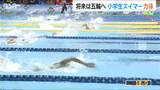 オリンピックや世界選手権を目指せ!BSN少年少女水泳大会|TBS NEWS DIG