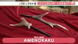 「全て使い切るのが彼らへの報い」…鹿の角が“ワイルド”な着火グッズに【しずおか産】 | 静岡のニュース | SBSNEWS | 静岡放送