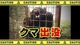 農産物直売所近くでクマ目撃情報　山梨・笛吹市　|　山梨のニュース | ＵＴＹテレビ山梨