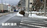 長野県飯綱町の国道18号で落石・当面の間は安全工事のため片側交互通行に | SBC NEWS | 長野のニュース | SBC信越放送