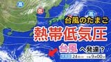 【台風情報】11月下旬なのに...「台風のたまご」熱帯低気圧が発生　あす（25日）にも台風に発達か　今後の進路は？　全国各地の天気シミュレーション【気象庁 24日午後9時更新】	　|　岡山・香川のニュース | 天気 | RSK山陽放送