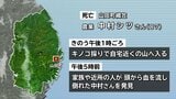 山田町で崖から沢に転落か　キノコ採りに出かけた女性が頭から血を流し倒れているのを発見　死亡を確認　岩手|TBS NEWS DIG