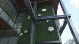フラワーアーティスト、ニコライ・バーグマンが手がける新ビルの壁面アートを公開 | 福岡のニュース|RKB NEWS|RKB毎日放送