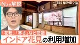 「インドア花見」が定番に？花粉・寒さなど“4重苦”回避で注目　お寺や古民家…桜愛でる最新スポット【Nスタ解説】|TBS NEWS DIG
