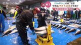 今季は2万本超!「ひみ寒ぶり」のシーズン終了 それでも氷見産ブリの出荷続く 富山・氷見市 | 富山のニュース|天気・防災|チューリップテレビ