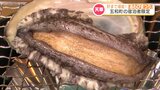 コリコリ!旬を味わう『あわびまつり』民宿などで開催中 「肉厚・大ぶりに育ってます」 熊本・天草市 | 熊本のニュース|RKK NEWS|RKK熊本放送