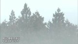 瀬戸内地方は多くのところで朝から雨 蒜山でも屋根の雪が溶ける なだれや落雪などに注意【岡山】|TBS NEWS DIG