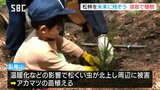 長野県須坂市の臥竜山で記念植樹 長野信用金庫が創立100周年で|TBS NEWS DIG