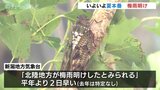 北陸地方が梅雨明け 平年より2日早く いよいよ夏本番 富山|TBS NEWS DIG
