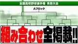 【詳報】夏の高校野球・青森県大会2025 激戦必至!組み合わせ決定 青森山田「(センバツの)リベンジを果たせるように…」 八戸学院光星「一戦必勝で…」 【全組み合わせ掲載】|TBS NEWS DIG