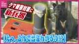 【世界初】熊の“気配”で出没予測！カギは空気に漂う「クマのDNA」 人身被害“過去最多”更新　画期的な予測システムとは　|　RCC NEWS | 広島ニュース | RCC中国放送