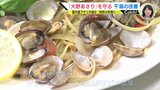 「特別なおいしさがある貝」 減少するアサリ　どうなる「大野あさり」　|　RCC NEWS | 広島ニュース | RCC中国放送