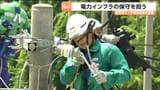 「立派な配電マンになりたい」高さ14mの電柱に挑んだ新入社員39人 2か月の研修成果を公開|TBS NEWS DIG