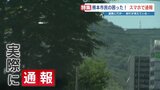 熊本市の「LINE通報」って？　記者も通報「枝が張りだし信号が見えづらい…」　|　熊本のニュース｜RKK NEWS｜RKK熊本放送